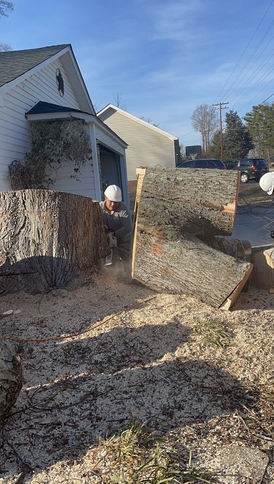 Man Cutting tree stump