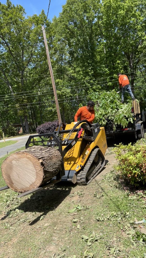 Worker hauling trees away